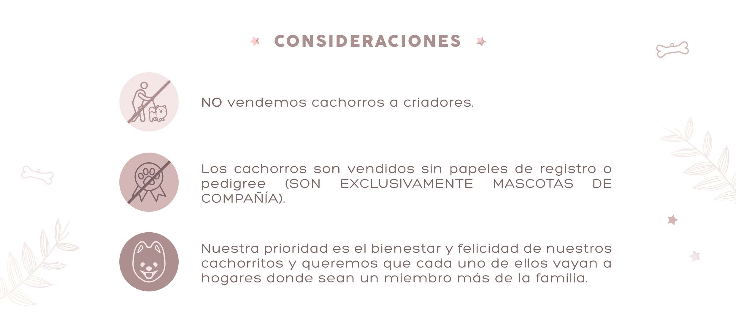 Condiciones de venta de cachorros Pomerania: no se venden a criadores, son vendidos sin pedigree, solo como mascotas familiares responsables.