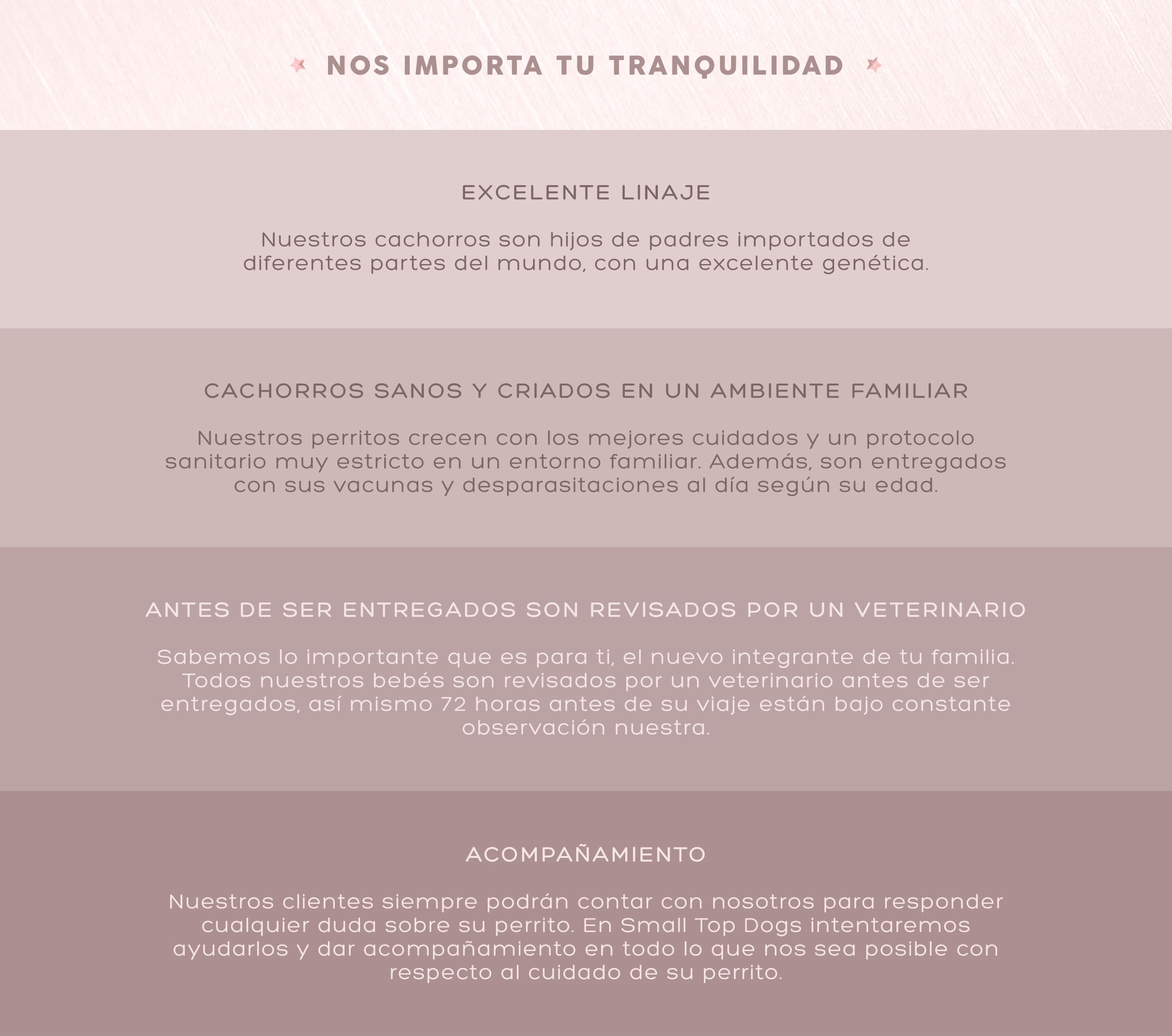 Garantía de calidad en cachorros Pomerania: excelente linaje, crianza familiar, revisión veterinaria y acompañamiento postventa